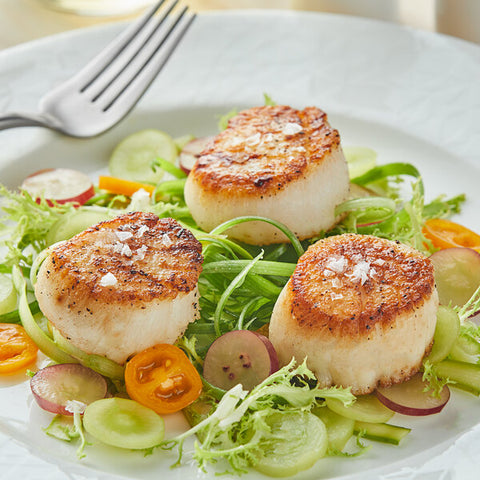 SCALLOP