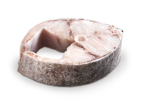 COBIA STEAK
