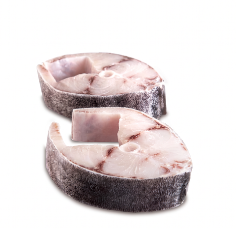 COBIA STEAK