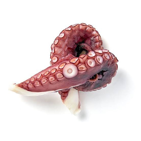 OCTOPUS COOKED LEG