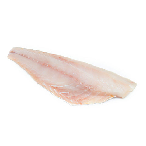 UNICORN LEATHERJACKET FILLET