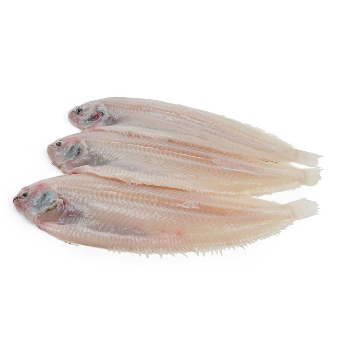 FISH – DK FOOD GROUP