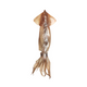SQUID TUBE